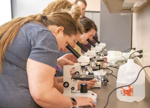 students looking through microscopes